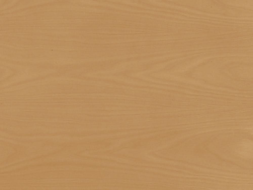 Lola Bookshelf - Image 61